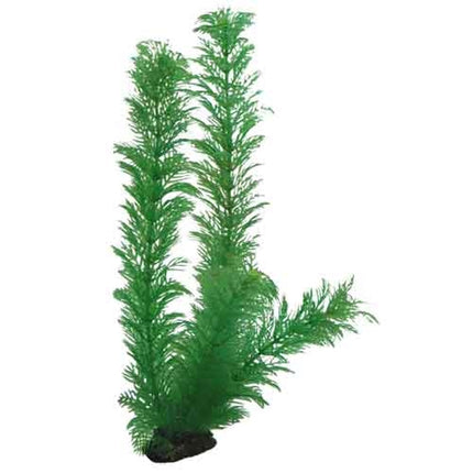 Hobby (Dohse) Egeria (34 cm) – Ansicht 2