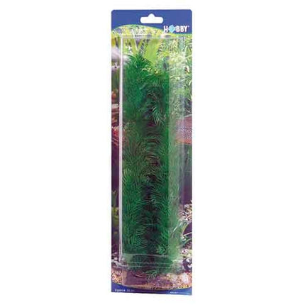 Hobby (Dohse) Egeria (34 cm) – Aquarium-Deko für das Aquarium bei AquascapingForLife