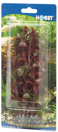 Hobby (Dohse) Rotala – Ansicht 3