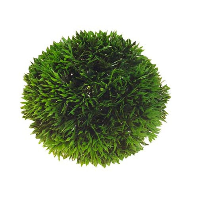Hobby (Dohse) Plant Ball (Ø 9 cm) – Ornamente und sonstige Dekoration für das Aquarium bei AquascapingForLife
