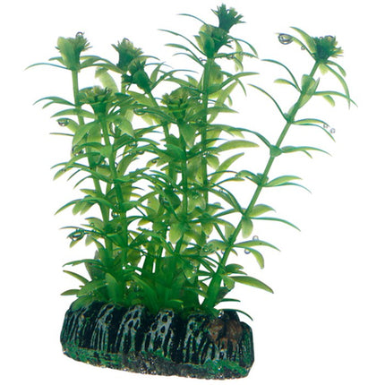 Hobby (Dohse) Plantasy Set 2, SB – Ansicht 4