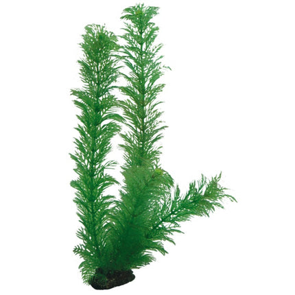 Hobby (Dohse) Plantasy Set 3, SB – Ansicht 2