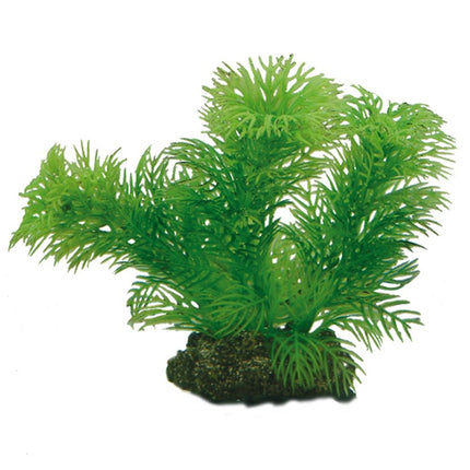 Hobby (Dohse) Plantasy Set 3, SB – Ansicht 6