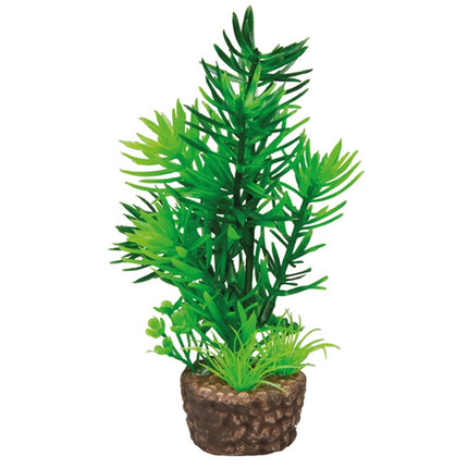 Hobby (Dohse) Flora Stone – Ansicht 2
