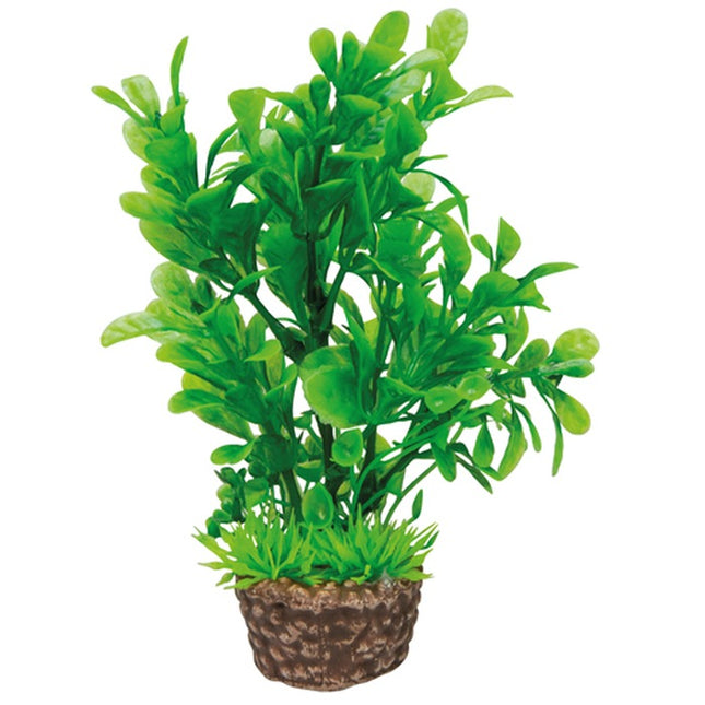 Hobby (Dohse) Flora Stone – Ornamente und sonstige Dekoration für das Aquarium bei AquascapingForLife