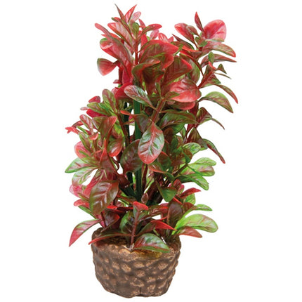 Hobby (Dohse) Flora Stone – Ansicht 4