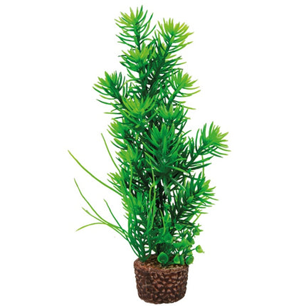 Hobby (Dohse) Flora Stone – Ansicht 5