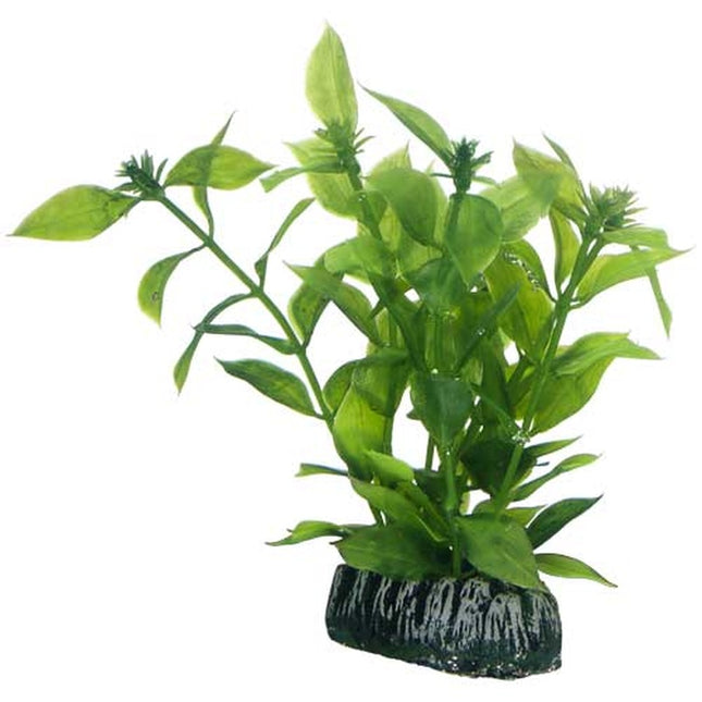 Hobby (Dohse) Hygrophila – Kunststoffpflanzen für das Aquarium bei AquascapingForLife