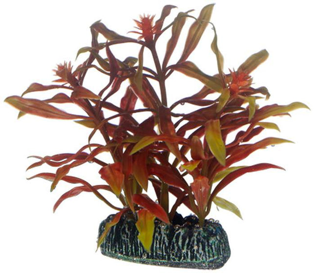 Hobby (Dohse) Nesaea – Kunststoffpflanzen für das Aquarium bei AquascapingForLife