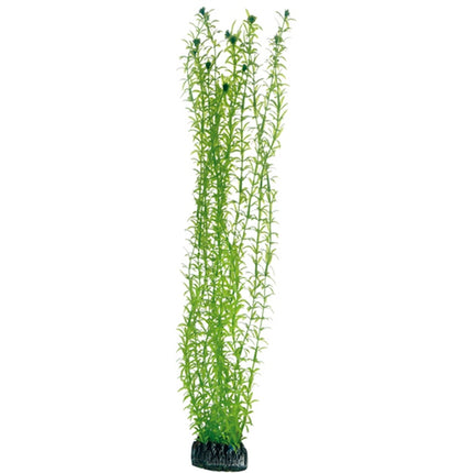 Hobby (Dohse) Lagarosiphon SB – Ansicht 2