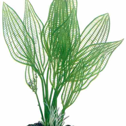 Hobby (Dohse) Aponogeton (16 cm) – Kunststoffpflanzen für das Aquarium bei AquascapingForLife