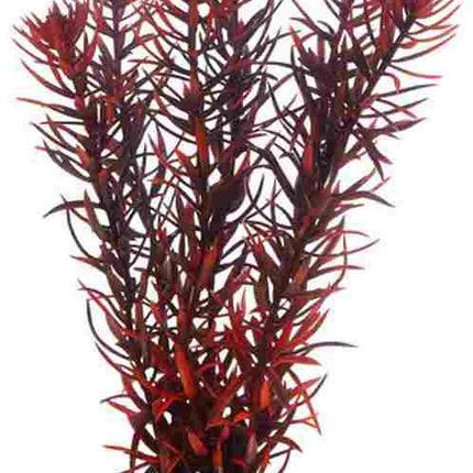 Hobby (Dohse) Eusteralis 20 cm, SB – Kunststoffpflanzen für das Aquarium bei AquascapingForLife