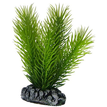 Hobby (Dohse) Mayaca – Kunststoffpflanzen für das Aquarium bei AquascapingForLife