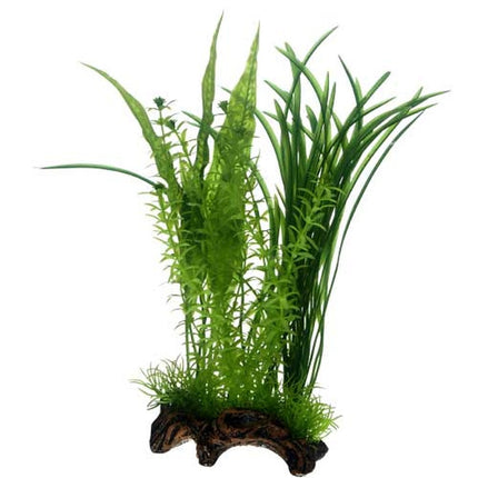Hobby (Dohse) Flora Root – Ansicht 4