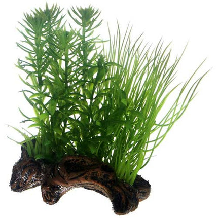 Hobby (Dohse) Flora Root – Ansicht 2