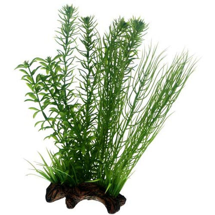 Hobby (Dohse) Flora Root 2, Größe L (30 cm), SB – Aquarium-Deko für das Aquarium bei AquascapingForLife