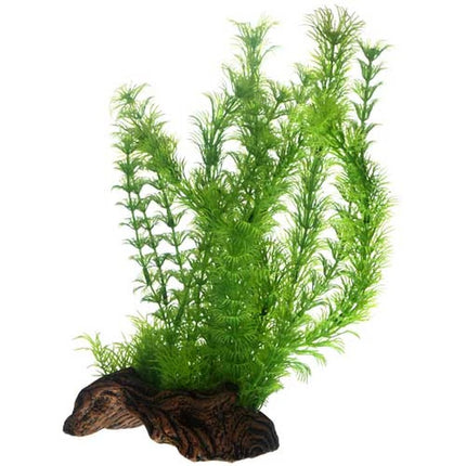 Hobby (Dohse) Flora Root – Ansicht 5