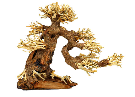 Aqua-Bonsai M 23x30cm (HxL)