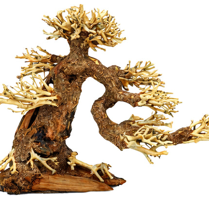 Aqua-Bonsai M 23x30cm (HxL)