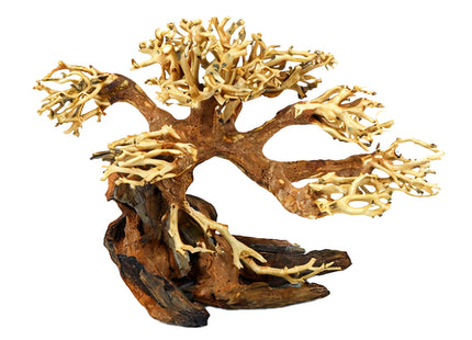 Aqua-Bonsai M 23x30cm (HxL)