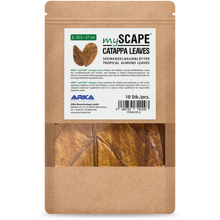 ARKA Catappa Leaves - Seemandelbaumblätter
