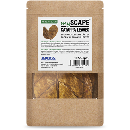 ARKA Catappa Leaves - Seemandelbaumblätter