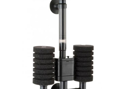 BOB - Doppel-Bio Schwammfilter - GarnelenTv-Shop