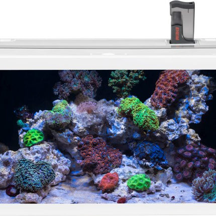 EHEIM aquastar marine – Aquarien für das Aquarium bei AquascapingForLife