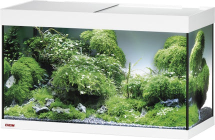 Eheim Set vivalineLED Aquarium inkl. Filter u. Heizer – Aquarien für das Aquarium bei AquascapingForLife