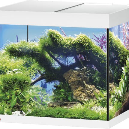 Eheim Set vivalineLED Aquarium inkl. Filter u. Heizer – Ansicht 5