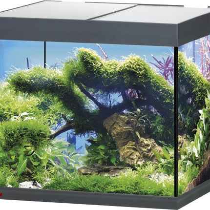 Eheim Set vivalineLED Aquarium inkl. Filter u. Heizer – Ansicht 7