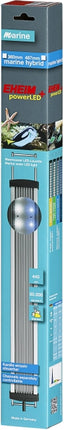 Eheim powerLED+ marine hybrid – Aquarium-Beleuchtung für das Aquarium bei AquascapingForLife
