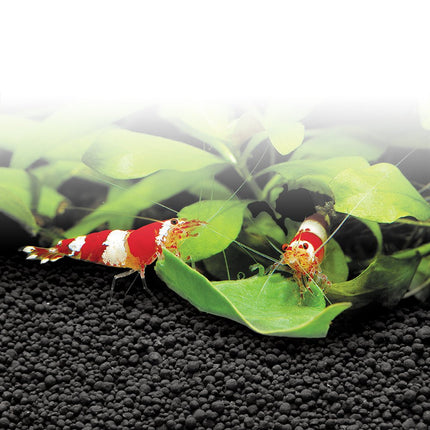 Fluval Stratum Substrat - GarnelenTv-Shop
