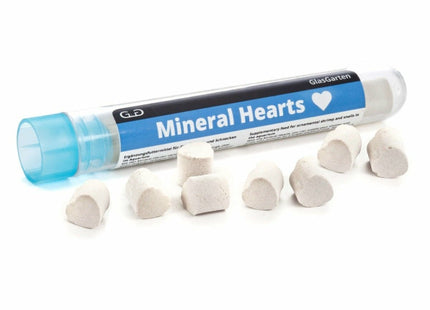 GlasGarten - Mineral Hearts - GarnelenTv-Shop