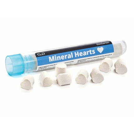 GlasGarten - Mineral Hearts - GarnelenTv-Shop