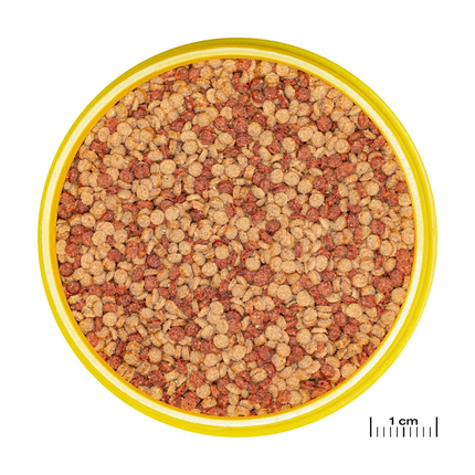 JBL PRONOVO COLOR GRANO M - 250ml