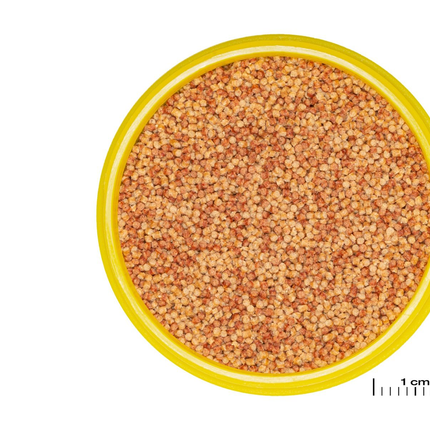 JBL PRONOVO COLOR GRANO - 100ml