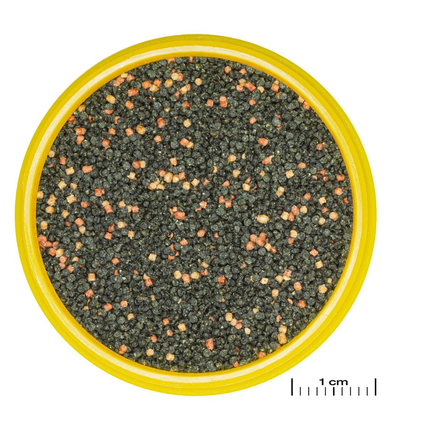 JBL PRONOVO GUPPY GRANO S 100ml