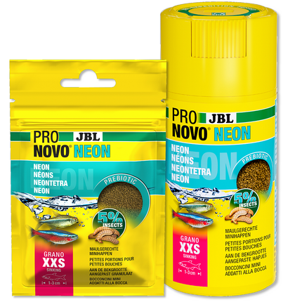JBL PRONOVO NEON GRANO XXS