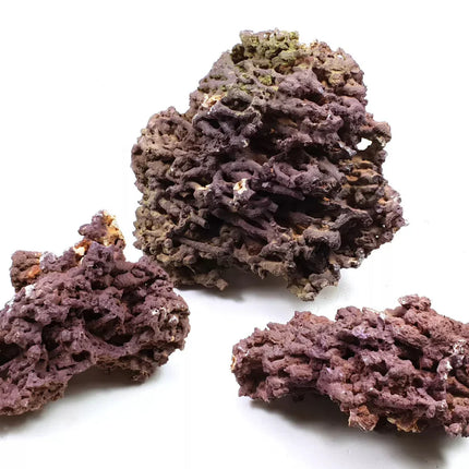 Jurassic Reef Rock - Meerwassersteine - GarnelenTv-Shop
