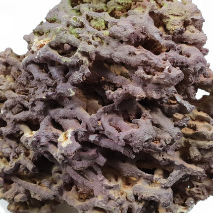 Jurassic Reef Rock - Meerwassersteine - GarnelenTv-Shop