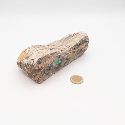 Mini Landschaft - Hardscape Steine - GarnelenTv-Shop