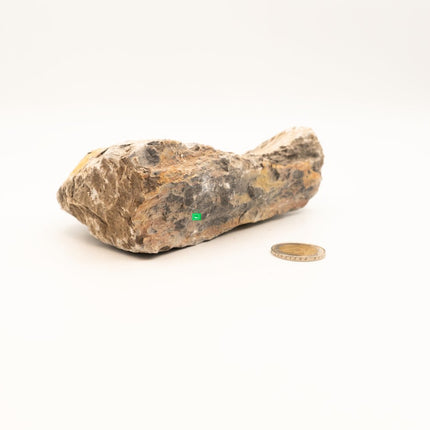Mini Landschaft - Hardscape Steine - GarnelenTv-Shop