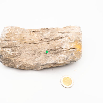 Mini Landschaft - Hardscape Steine - GarnelenTv-Shop